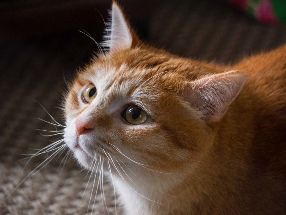 Photograph by mikhail goryachev