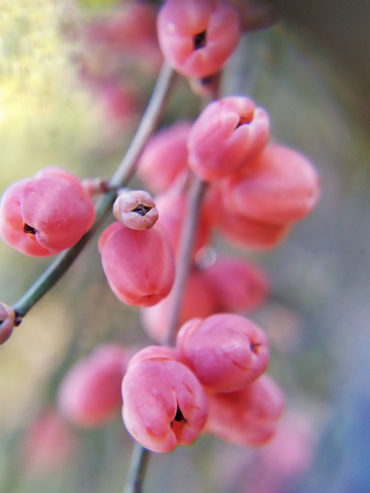 Photograph by Любовь Сухова