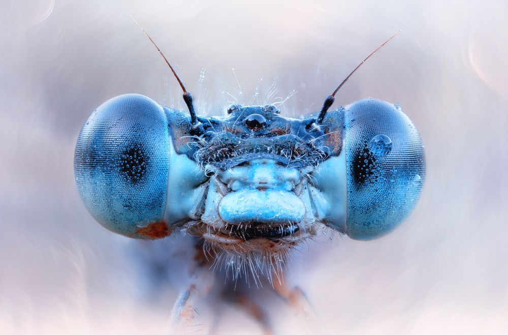 Photograph by Кузнецов Дмитрий