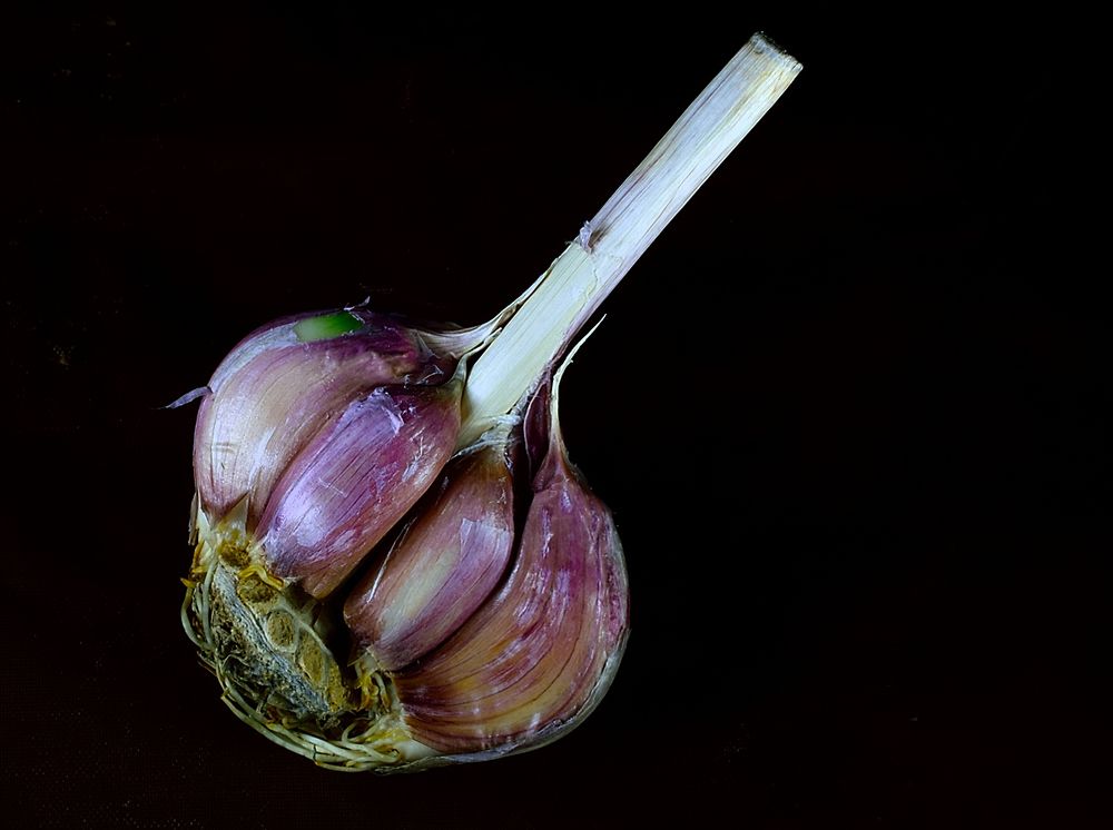 Photograph by Анатолий Хальман