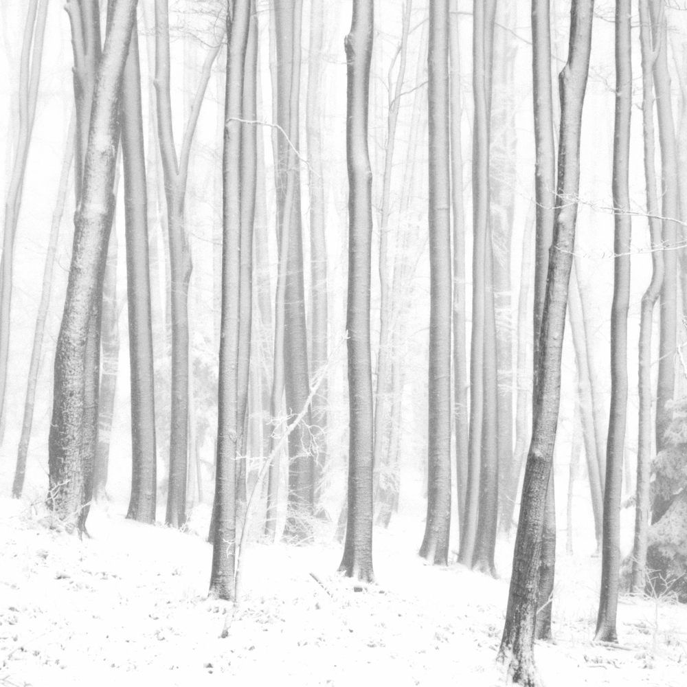 Photograph by Damir Gržin