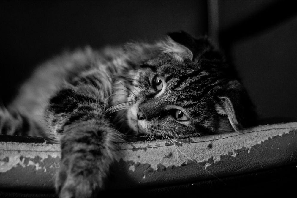 Фотография автора Anyutkin