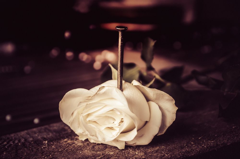 Фотография автора NIghtdream