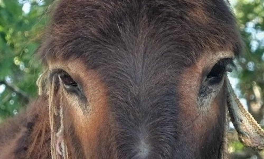 Photograph by Eylem Barış