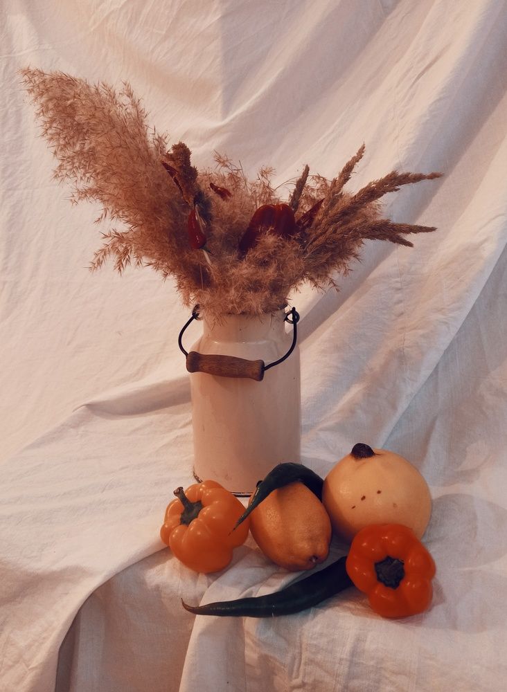 Photograph by Mohammad Jalilzadeh