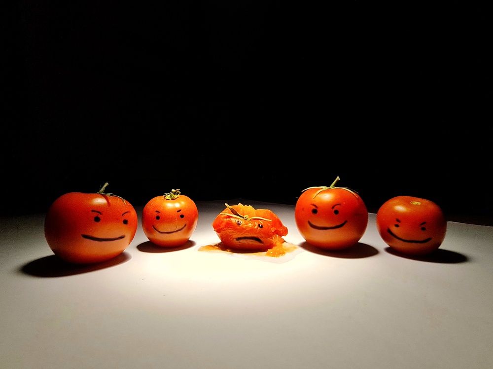 Photograph by Mohammad Jalilzadeh