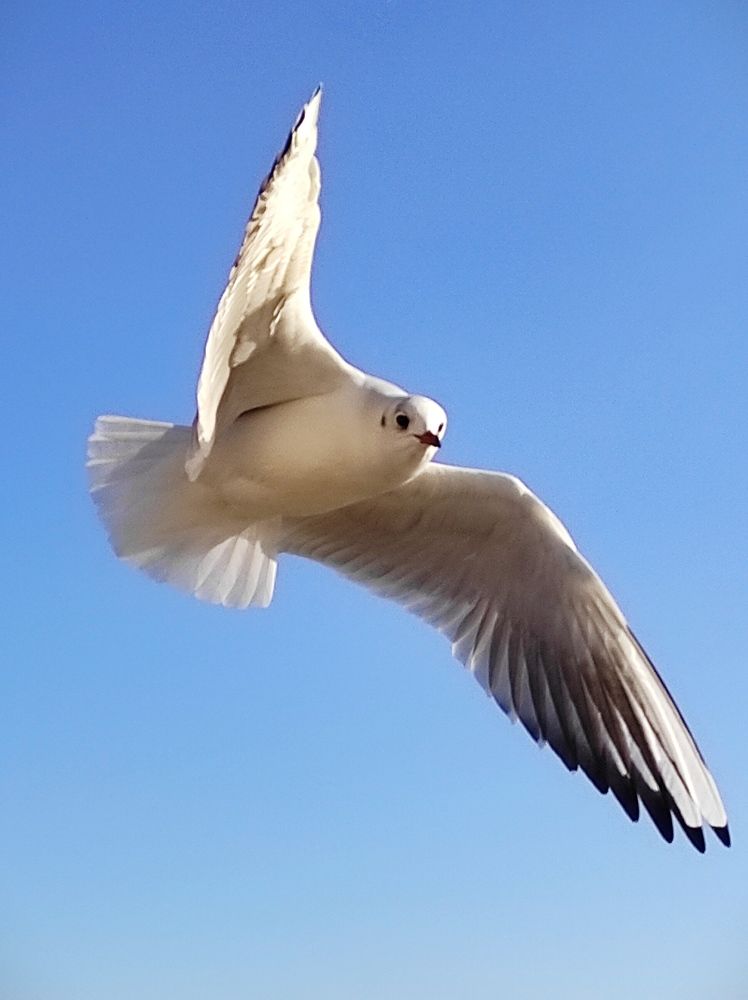 Photograph by Ольга Капко