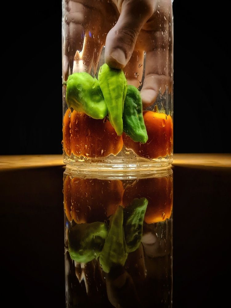 Photograph by Mohammad Jalilzadeh