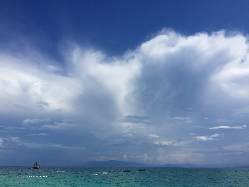 Photograph by Veronika Filipenko