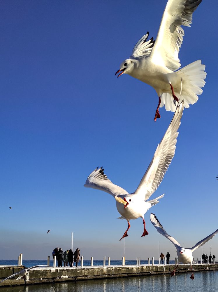 Photograph by Ольга Капко