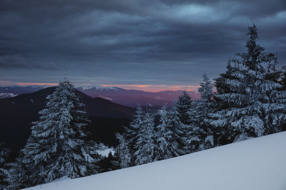 Photograph by Дмитрий Иванов