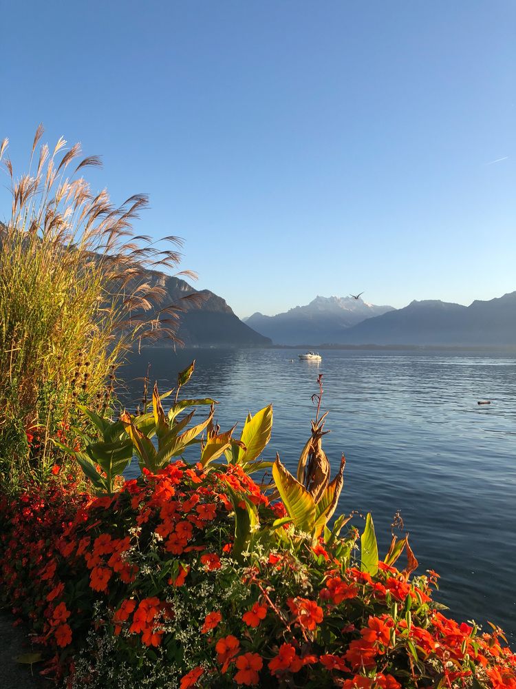 Photograph by Юлия Капустина