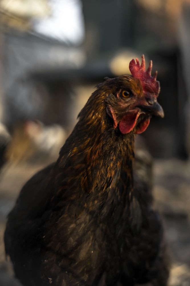 Photograph by Ирина Умиленко