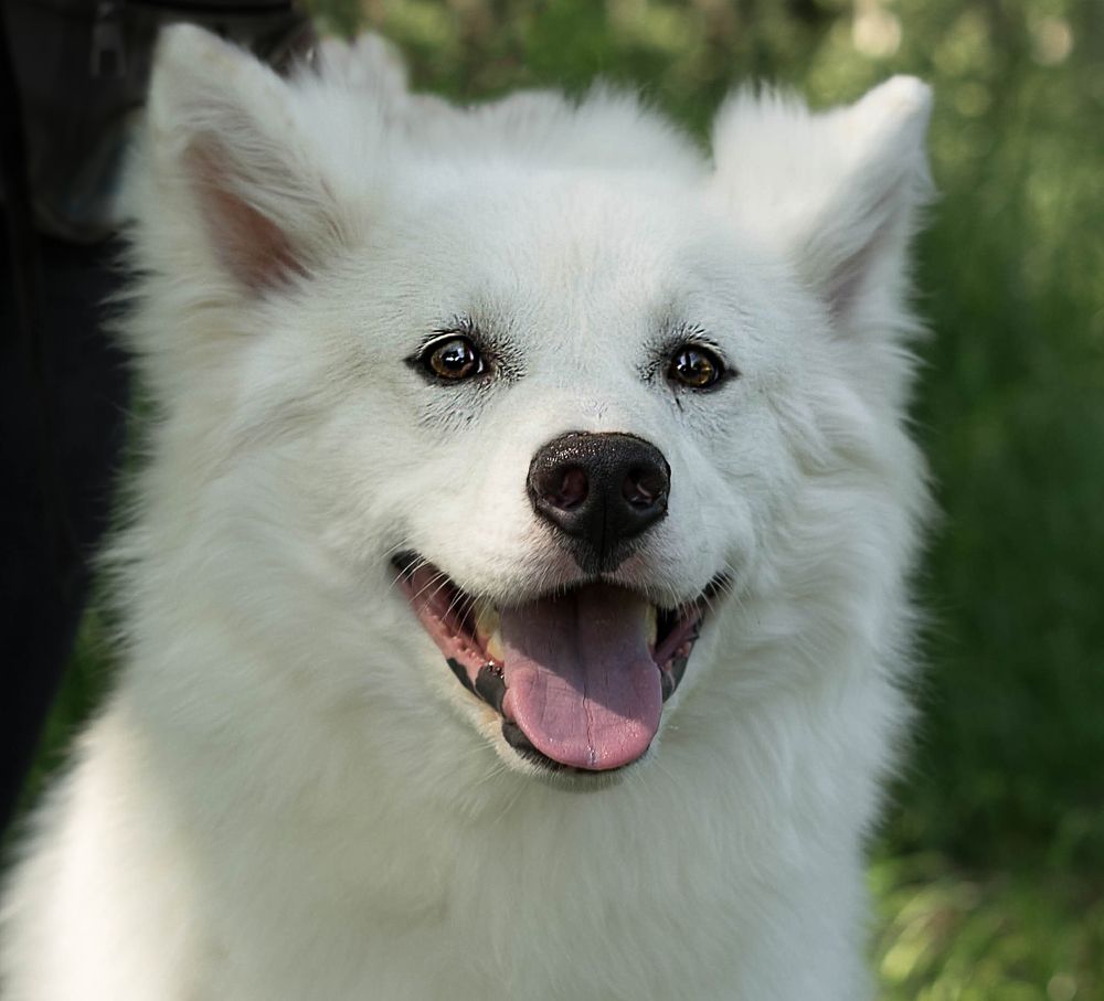 Photograph by Ирина Умиленко