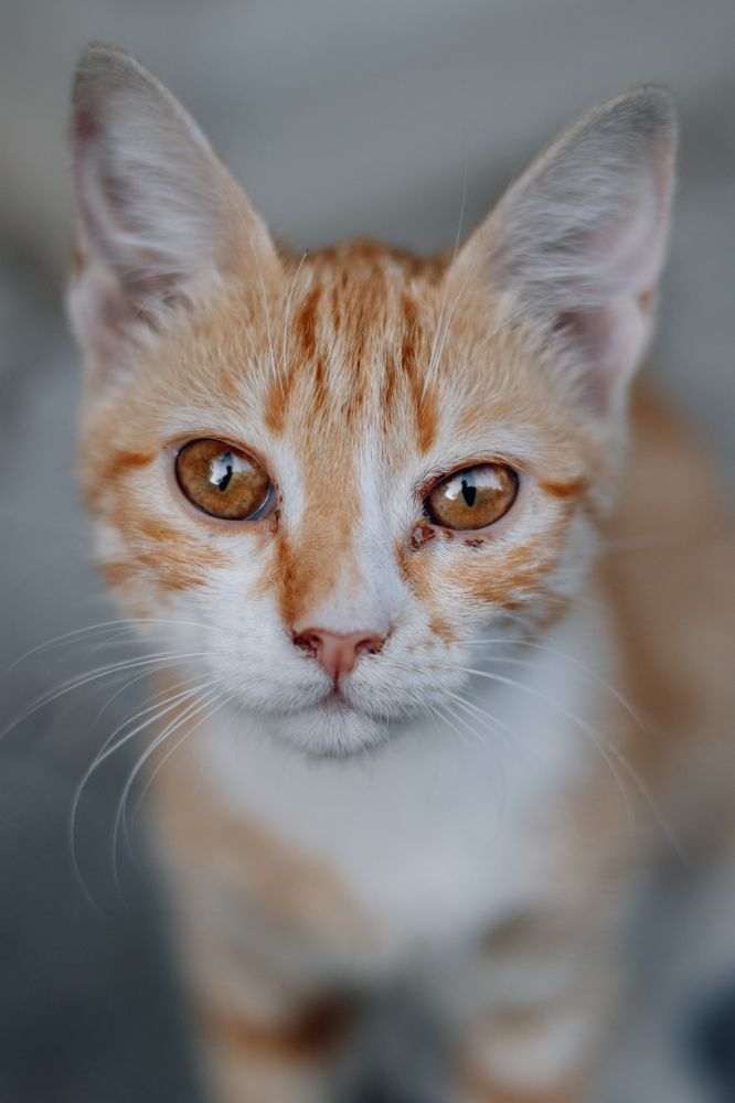 Photograph by Антон Ляпунов