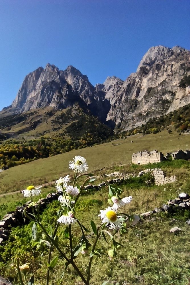 Photograph by Ирина Умиленко