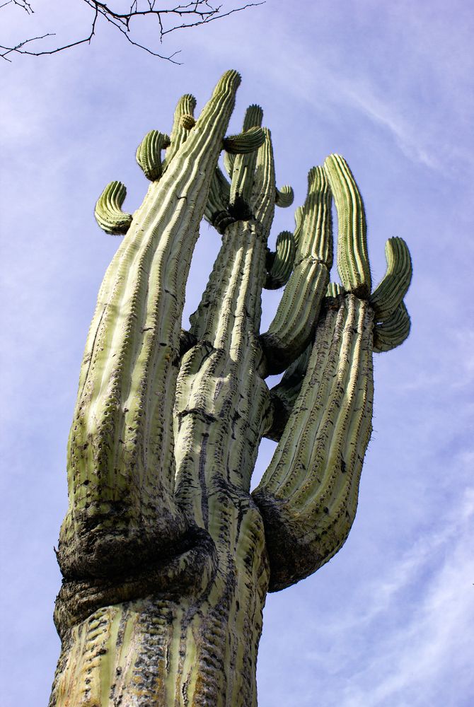 Photograph by Екатерина Чистякова