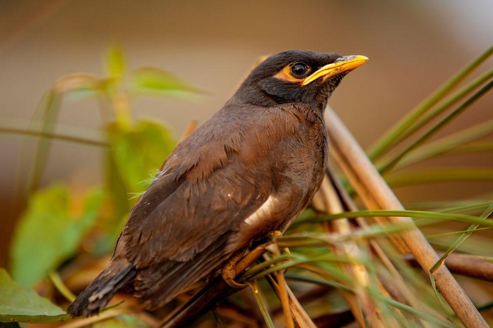 Photograph by Razin Chowdhury