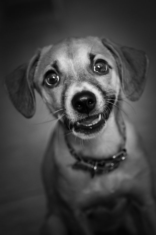 Always funny, always smiling.