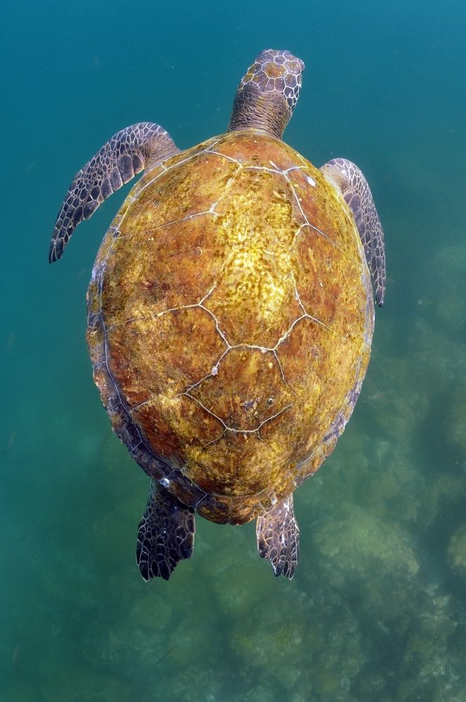 Photograph by Nicolas Soto Romero