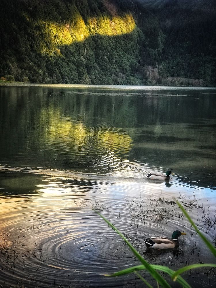 Photograph by Hellen de Carvalho