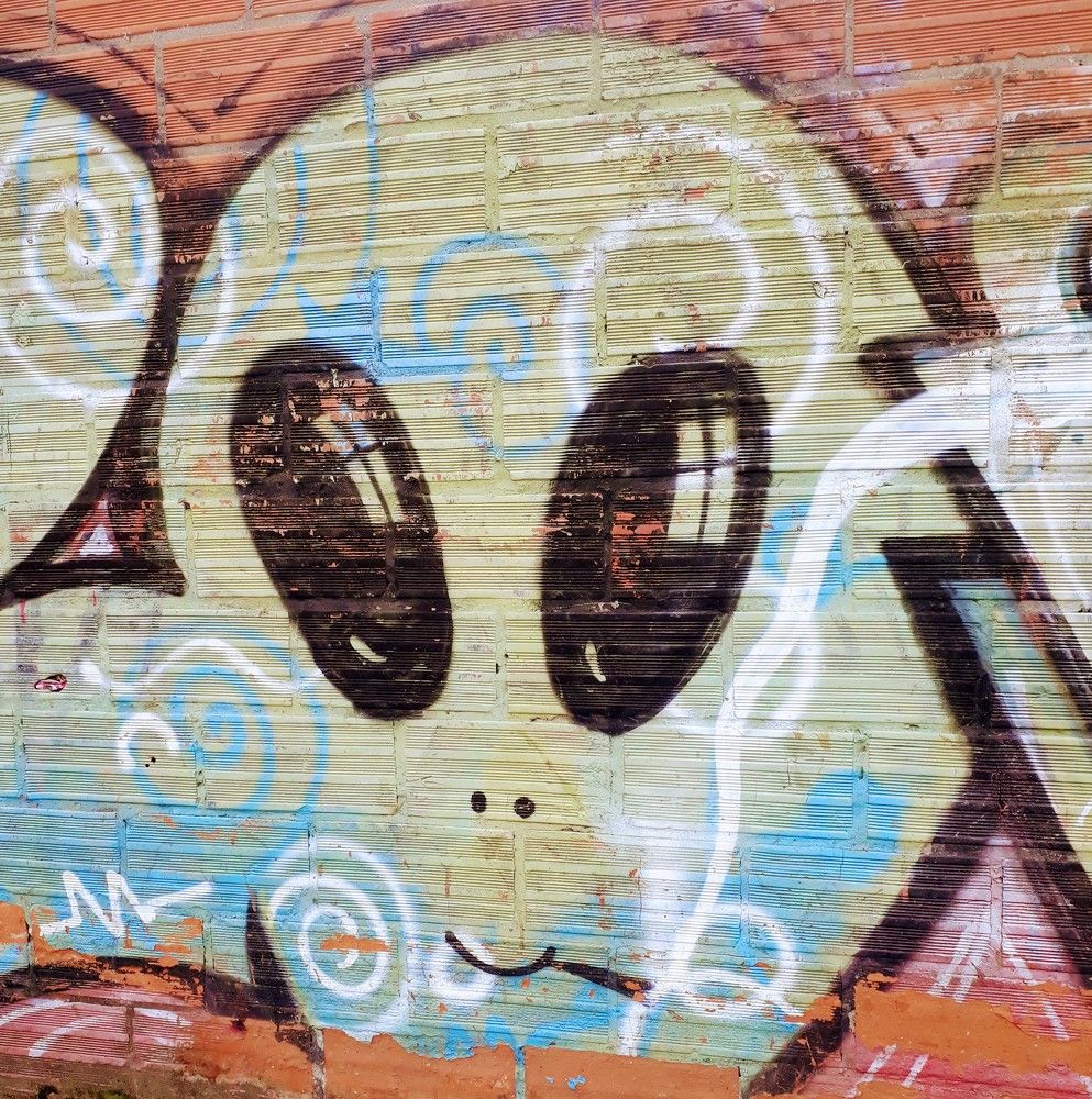 Photo #5980703