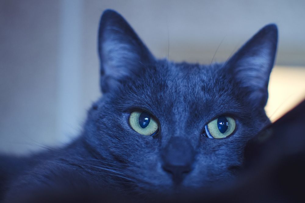 Фотография автора Людмила Куприянова