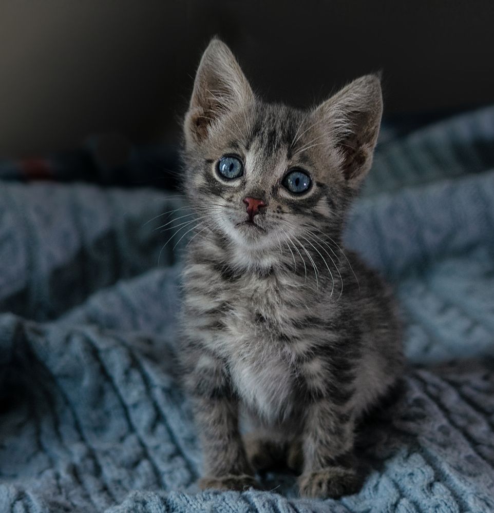 Photograph by Светлана Медведева