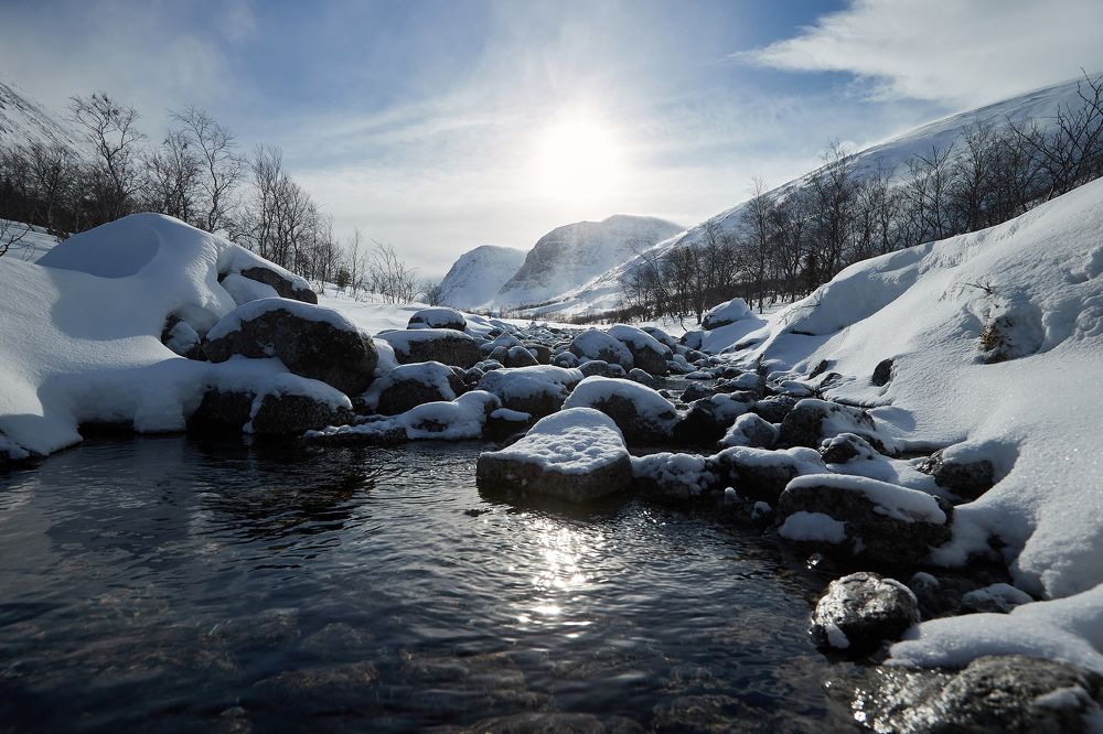 Photograph by Лана Полякова