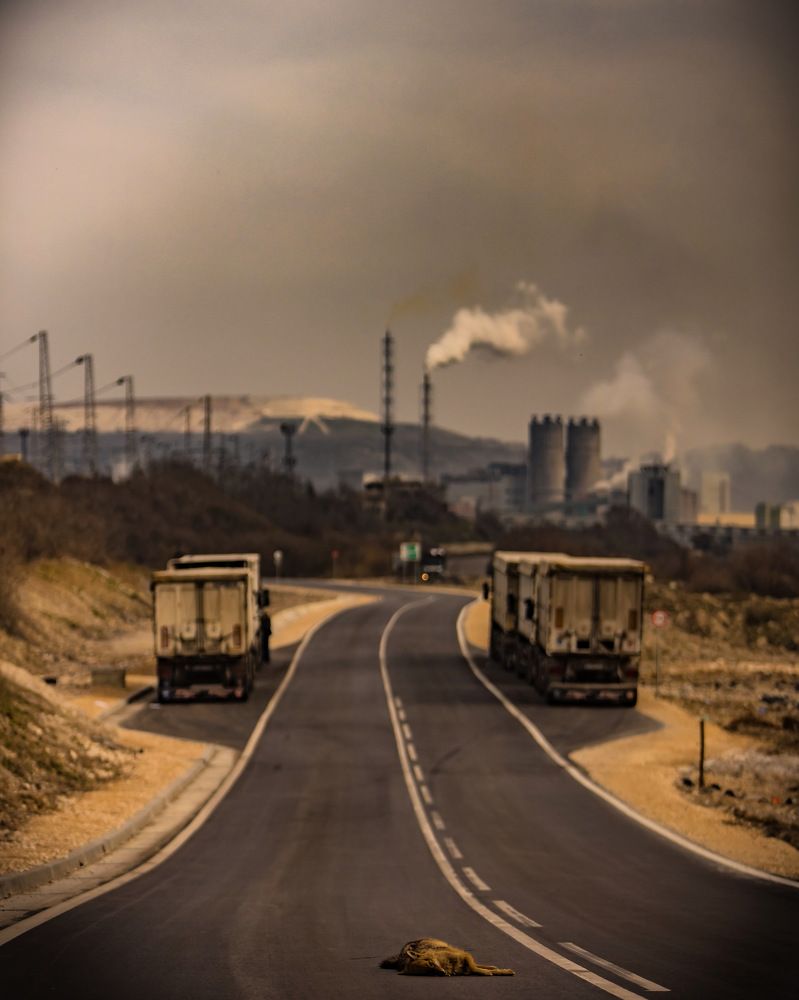 Photograph by Boris Mateev