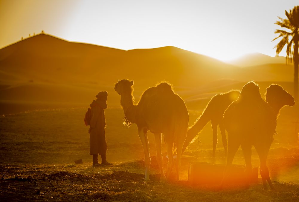 Beginning of a new day in Sahara