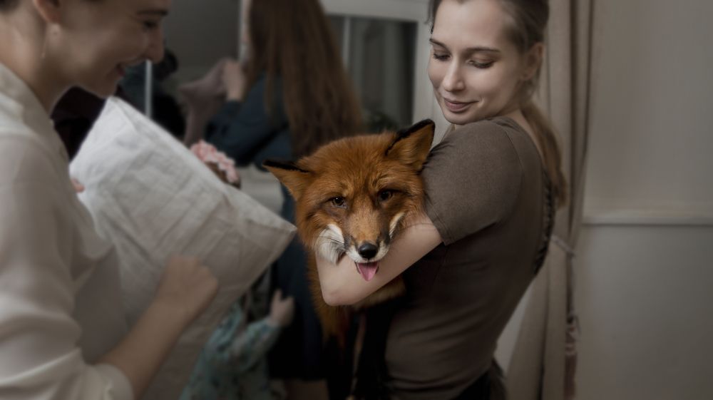 Photograph by Дарья Вишневская