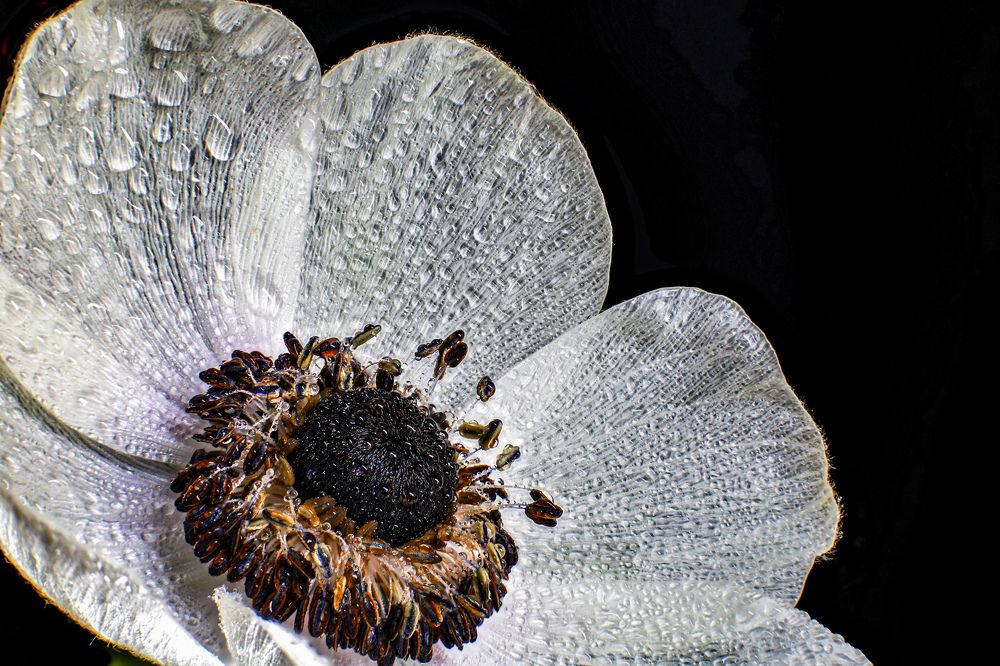 Photograph by Sergey Uskov