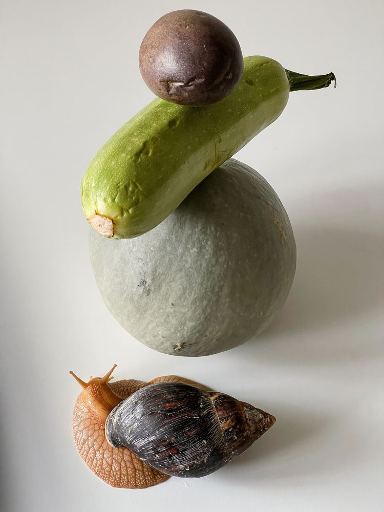 Photograph by Мила Мокина-Хайруллова