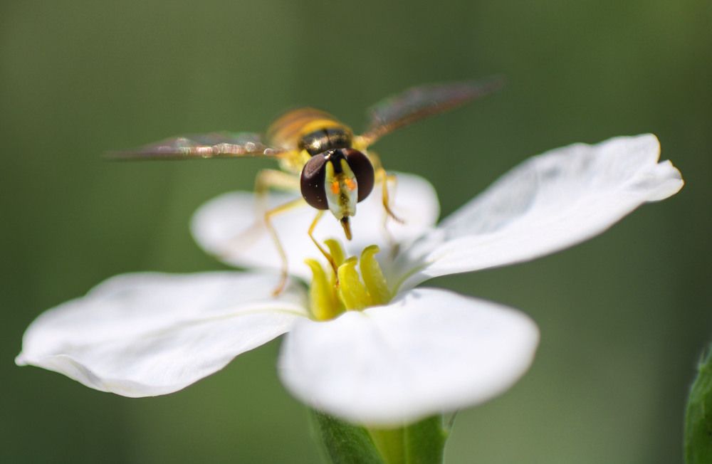 Photograph by safoura asghari