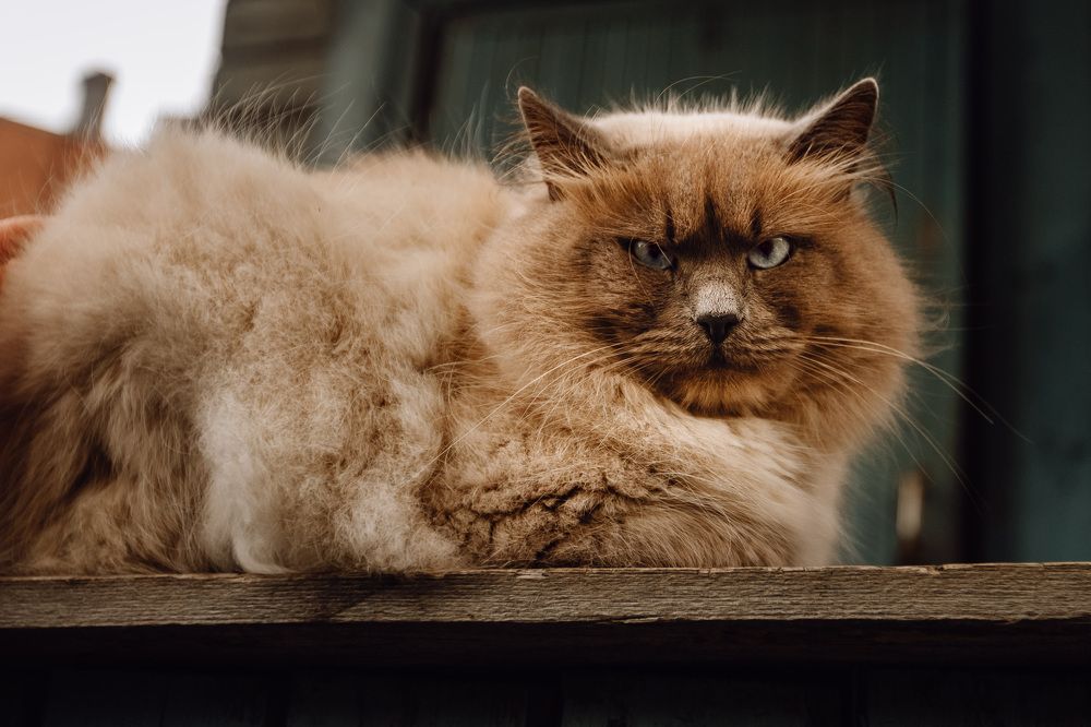 Photograph by Антон Ляпунов