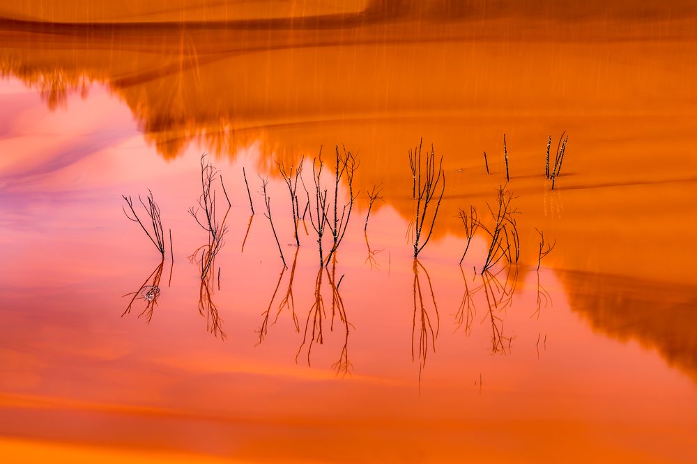 Photograph by Marinescu Stefan