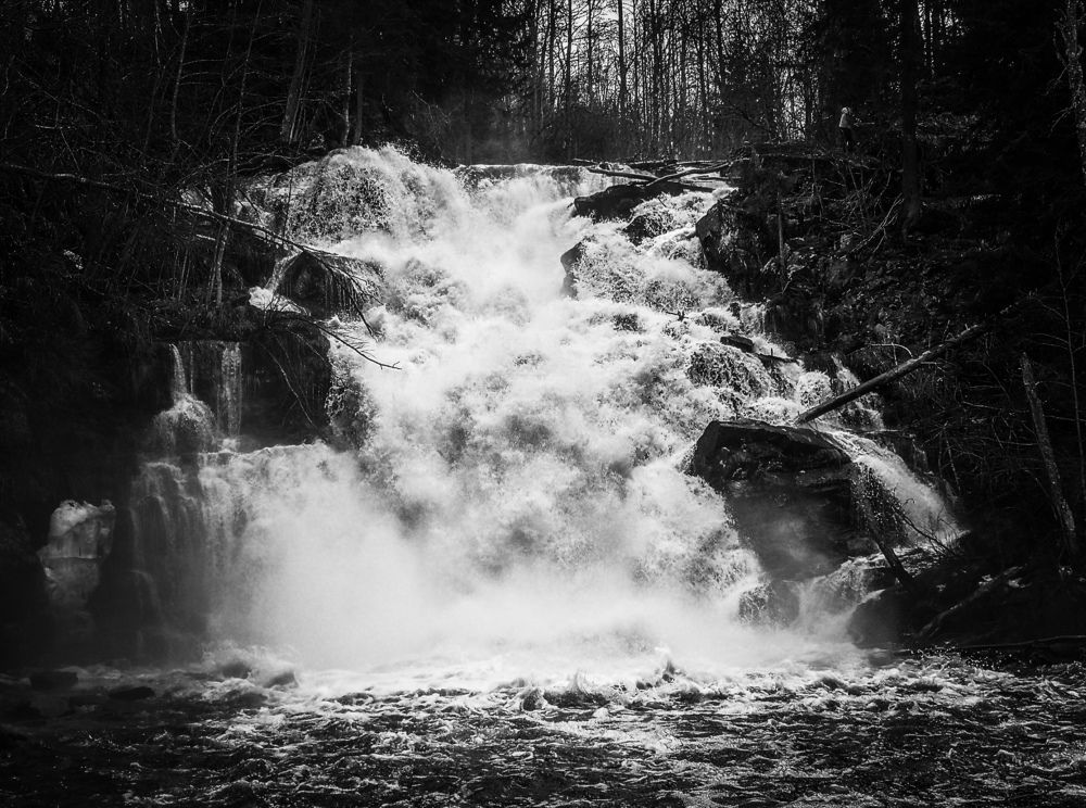 Photo #5981526