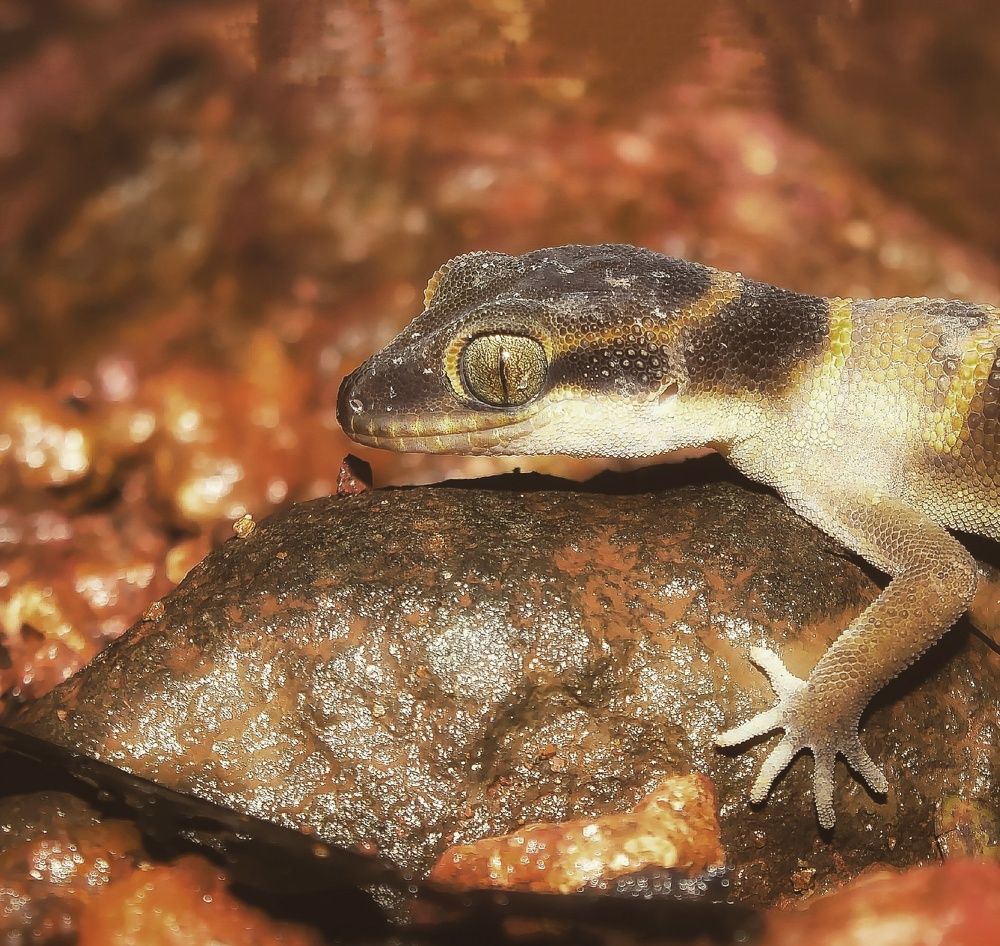 Photograph by Aniket Karane