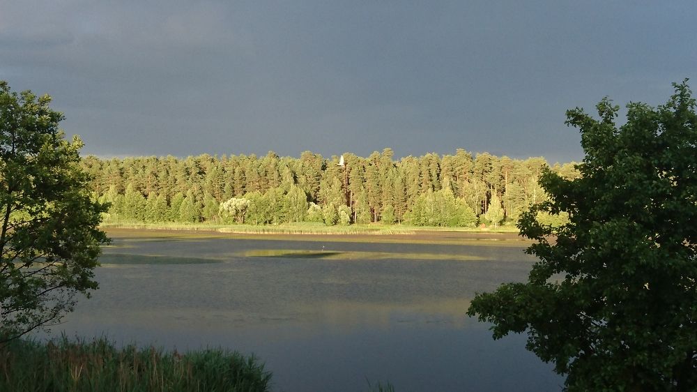 Photo #5981682
