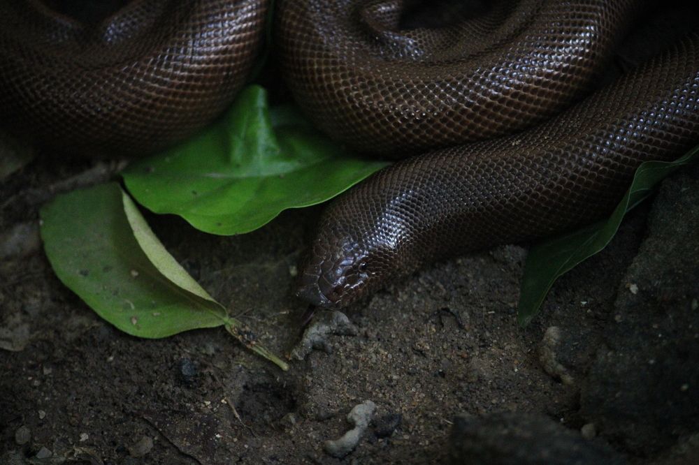 Photograph by Vishwa Trivedi