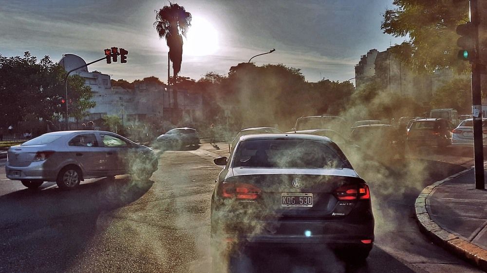 Photograph by ALFREDO SVARZCHTEIN