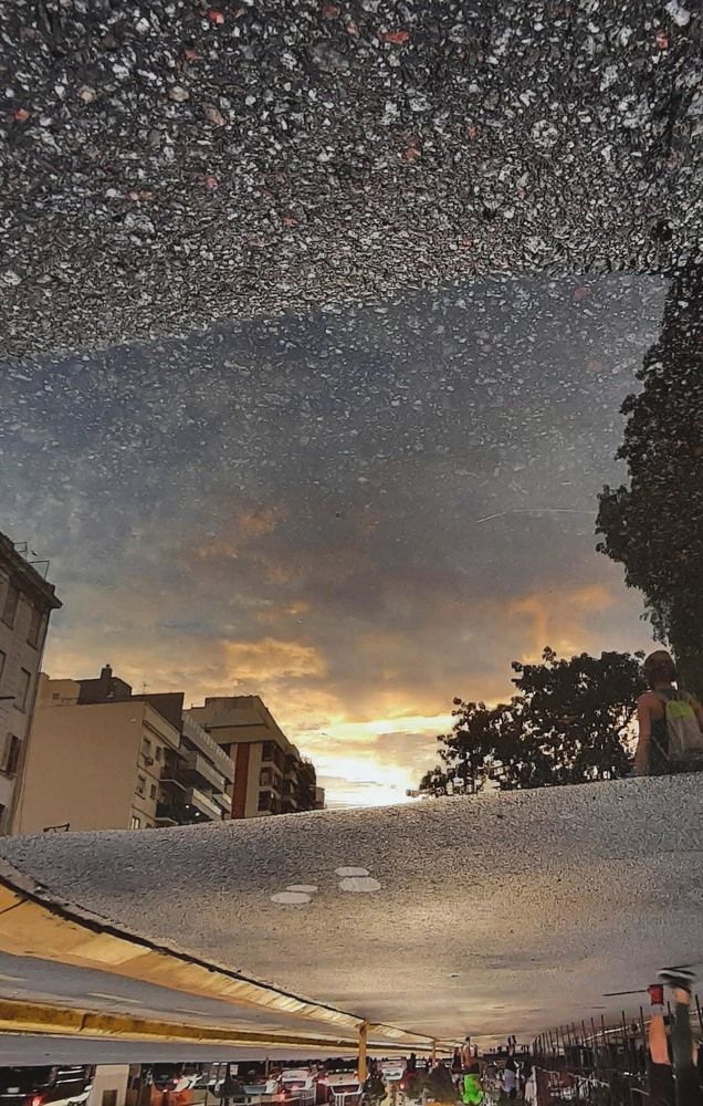 Photograph by ALFREDO SVARZCHTEIN