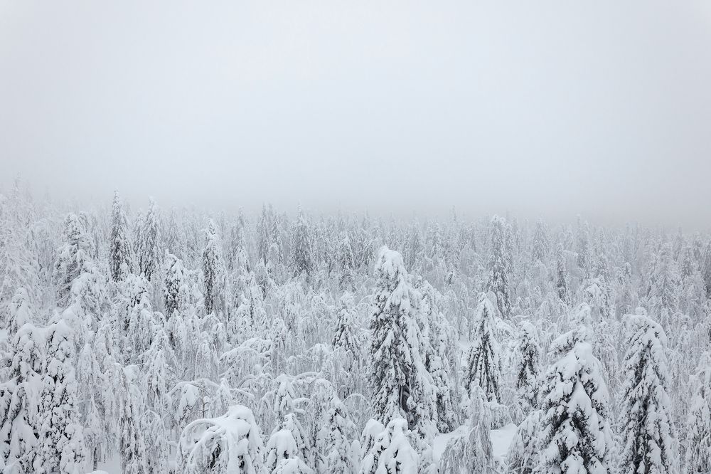 Photograph by Лев Чура