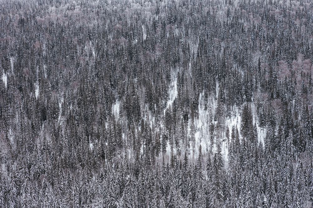 Photograph by Лев Чура