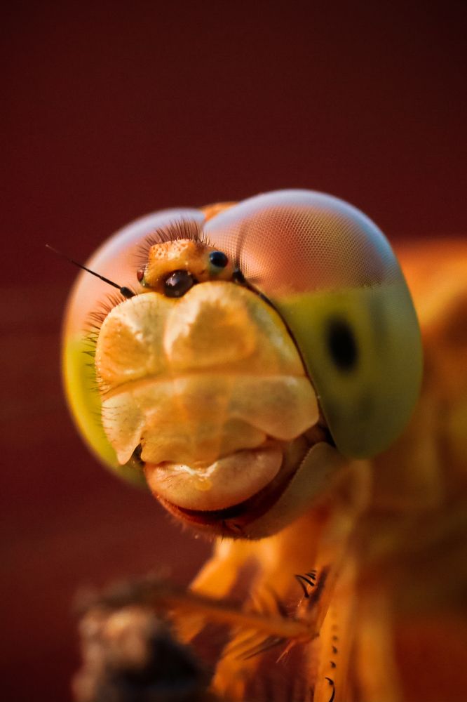 Photograph by kallyan kundu