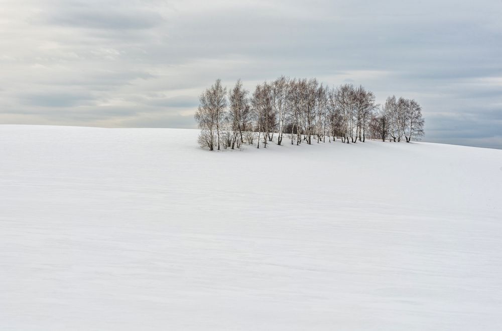 Photograph by Роман Махров