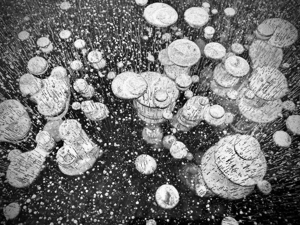 Photograph by Роман Махров