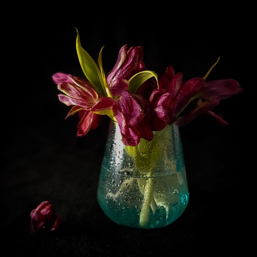 Photograph by Ольга Ташкина