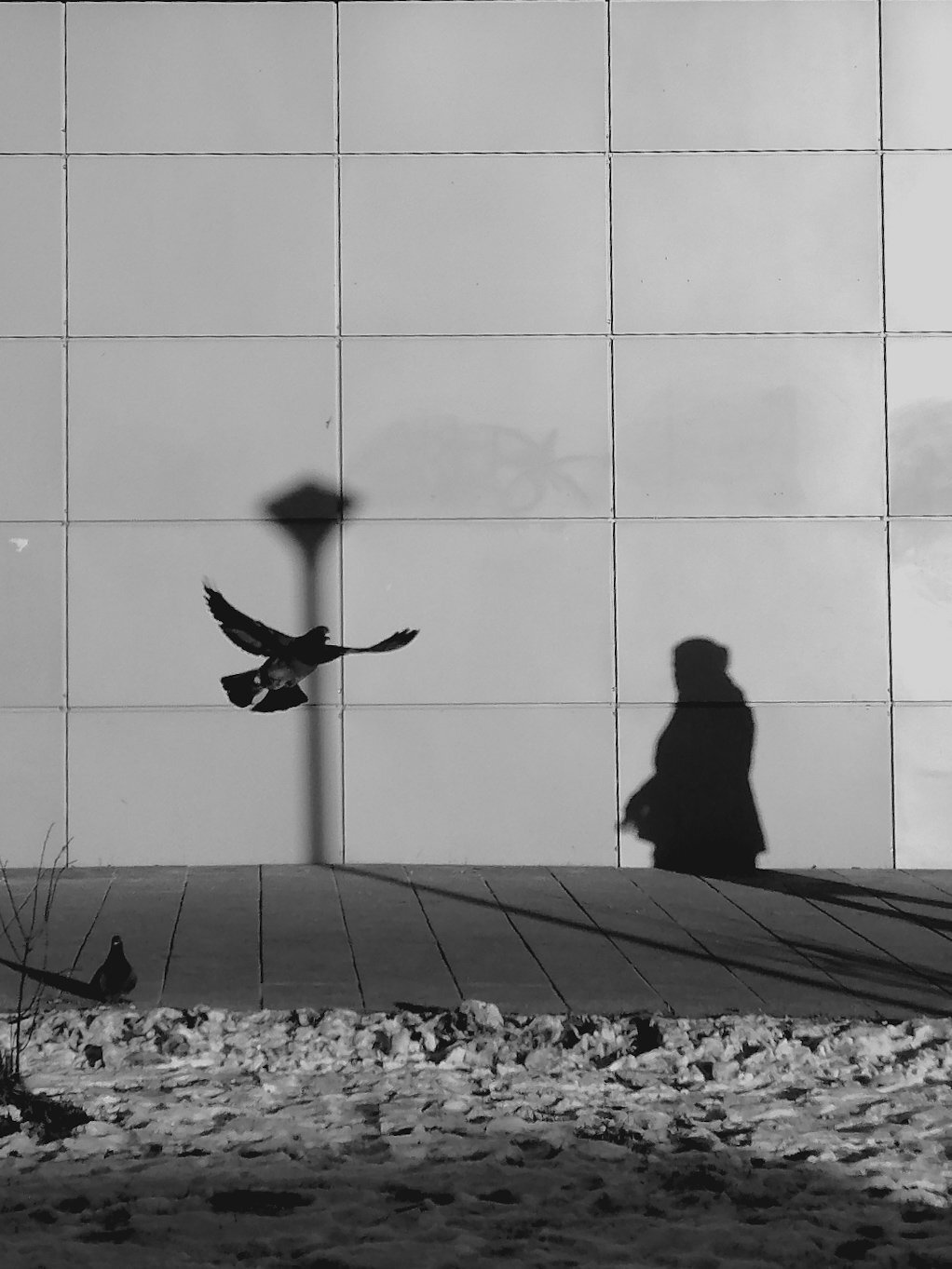 Photo #5981980